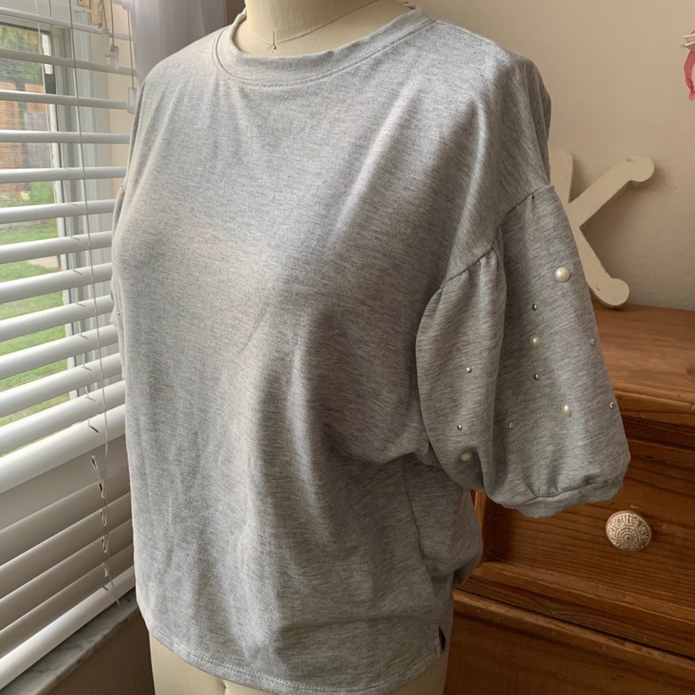 Big Puffy Sleeve Top (D-16)